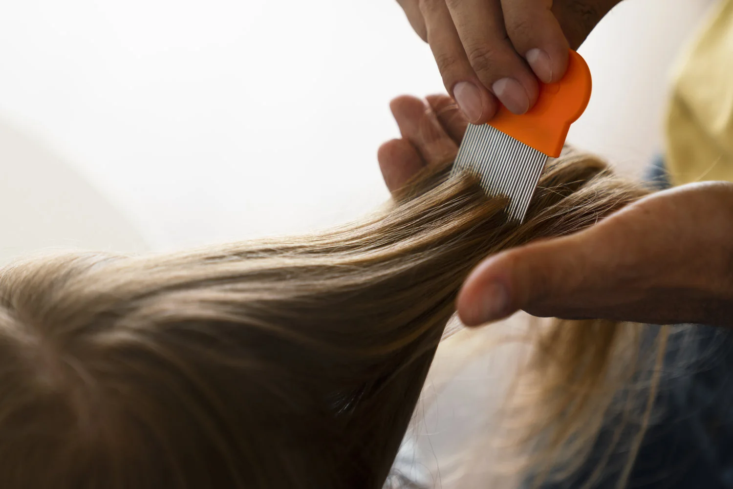 Profesional trabajando cuidadosamente una sección de cabello