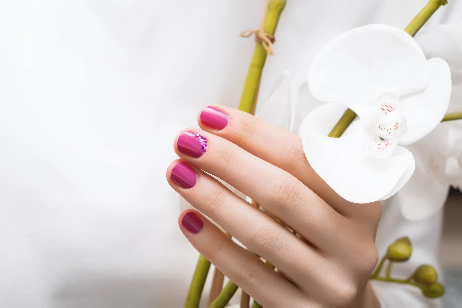 Mano con manicure rosado junto a una flor blanca